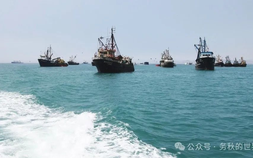  Desmitificando la Pesca China: Verdades sobre el Calamar Peruano