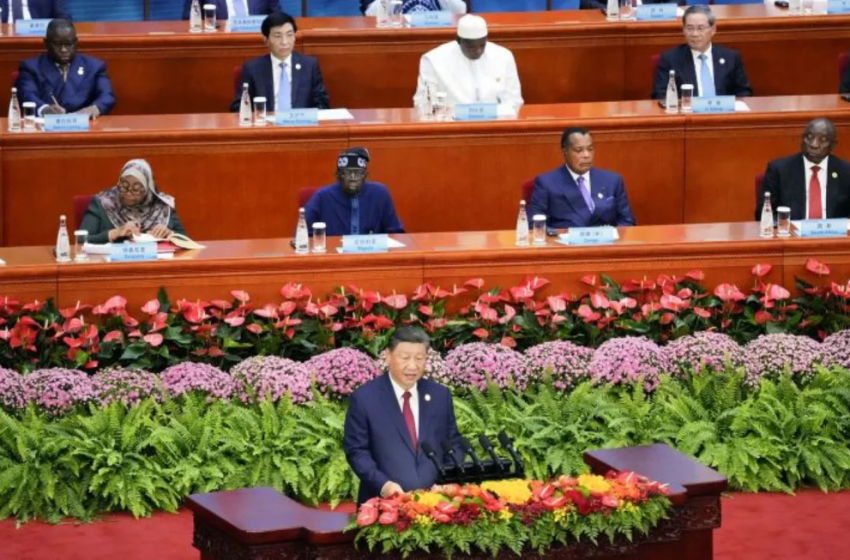  Xi Jinping Lanza Un Llamado a la Cooperación Africana