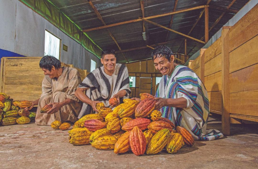  Exportaciones Agrícolas de Perú Crecen un 17.8% en 2023