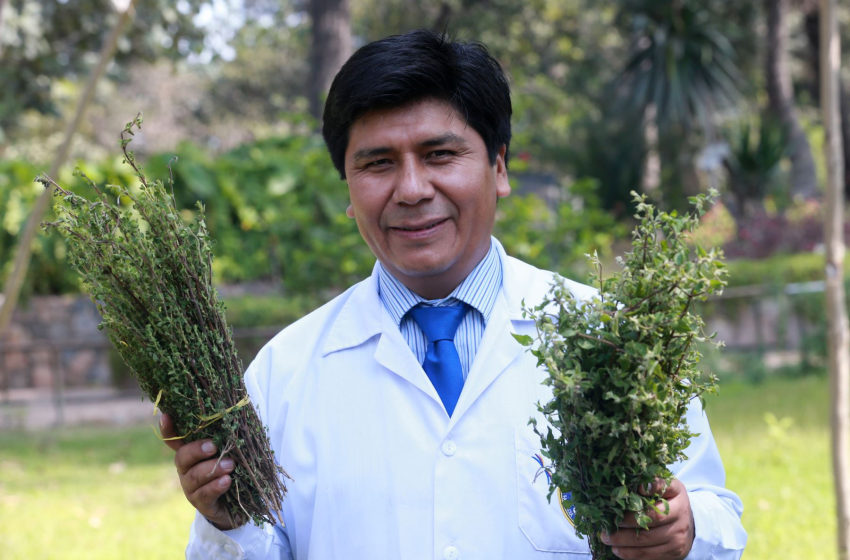  Muña: El Descubrimiento Natural Contra la Gastritis