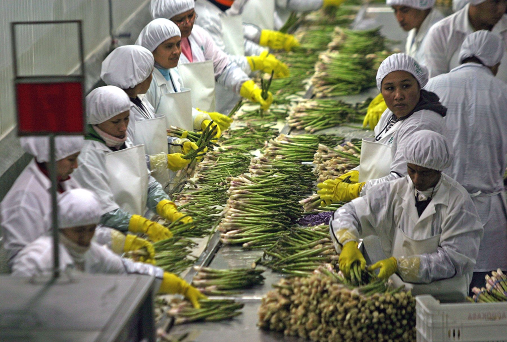 Perú intensificará su presencia en la Unión Europea, Asia y América Latina, donde la demanda de sus productos agrícolas sigue en alza, para amortiguar el golpe de EE.UU.