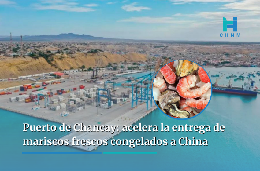  Puerto de Chancay: acelera la entrega de mariscos frescos congelados a China