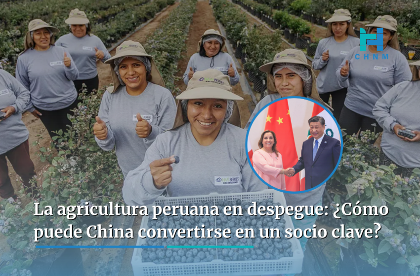  La agricultura peruana ante una oportunidad de despegue: ¿cómo puede China convertirse en un socio clave?