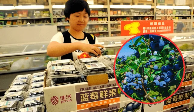  China se consolida como nuevo mercado clave para arándanos peruanos
