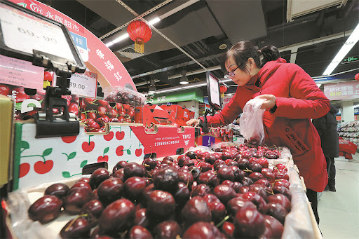  Perú identifica su cereza ideal gracias a cooperación con China