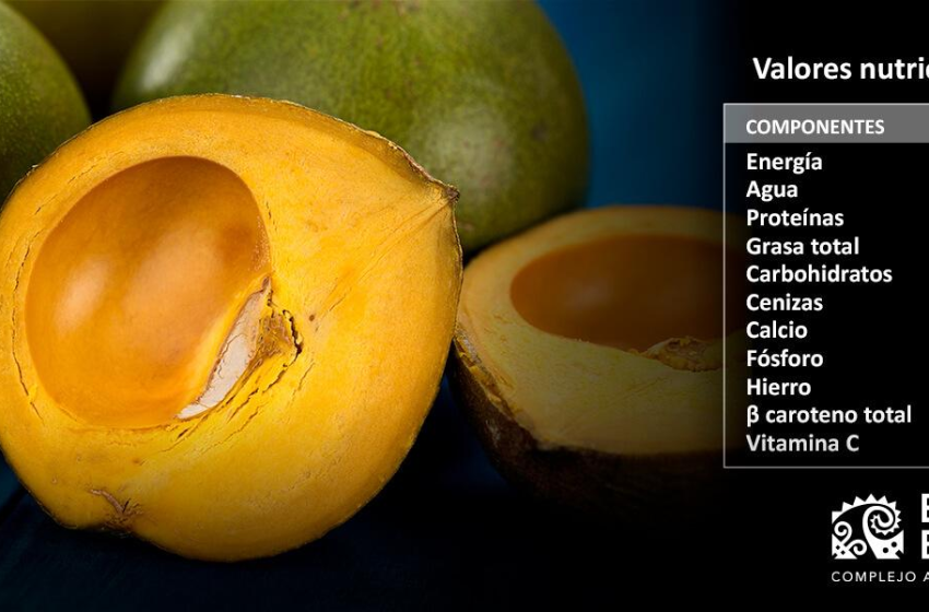  Lúcuma: el superalimento peruano que conquista el mundo