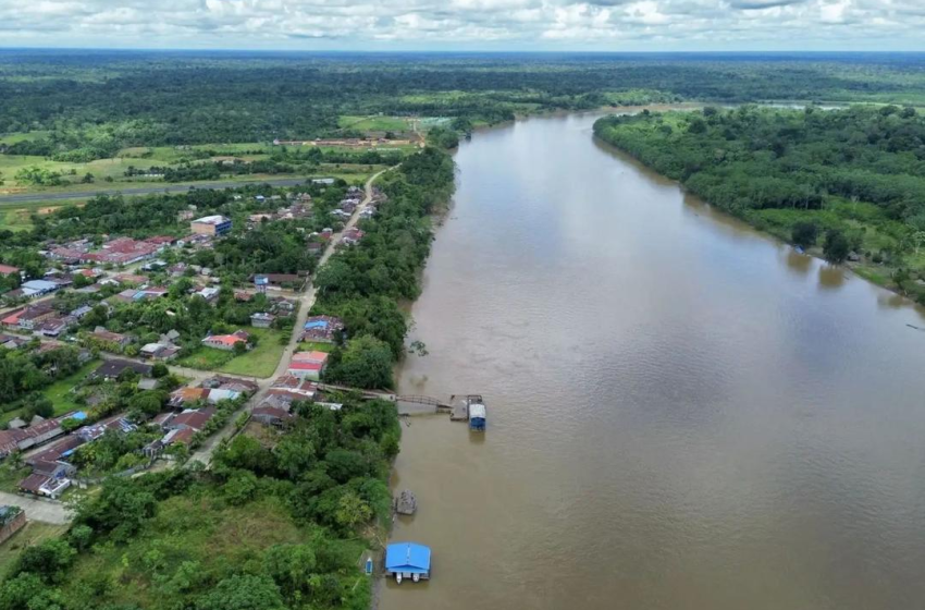  Perú impulsará reforestación de 3 millones de hectáreas en la Amazonía