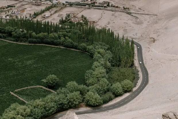  El fracaso hídrico de la Gran Muralla Verde de China en el desierto de Gobi