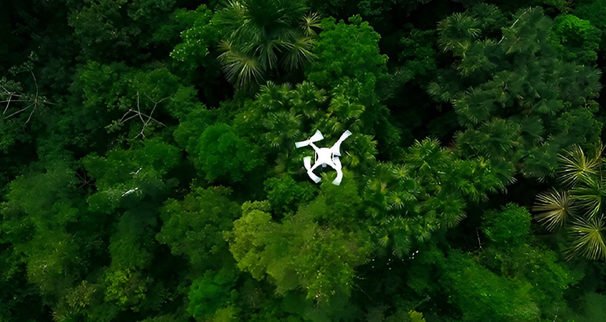  Osinfor usa IA y drones para proteger el aguaje en Loreto: Trazabilidad y monitoreo 2026