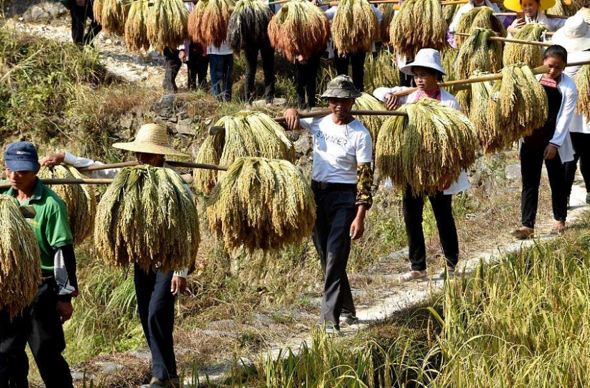  Comunicación efectiva vs. capital: Lecciones de Hunan para las empresas chinas en el extranjero