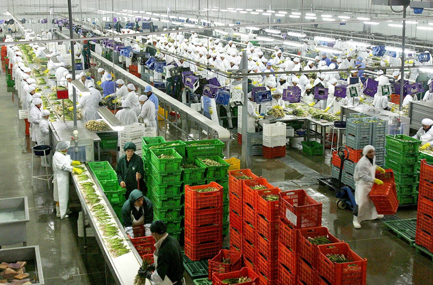  La digitalización eleva el valor de las agroexportaciones peruanas en los mercados premium mundiales