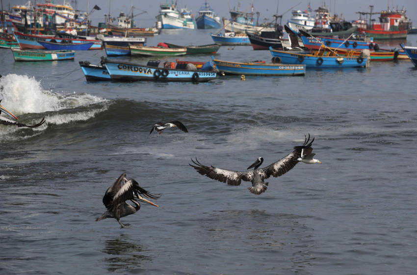  Perú afianza políticas de economía circular y reservas marinas para proteger el Mar de Grau