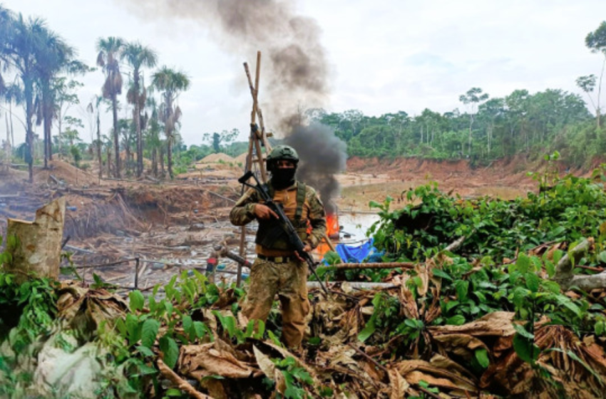  Madre de Dios: Operativo multisectorial destruye activos de la minería ilegal por S/64.5 millones