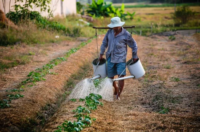  Agroindustria: motor de la diversificación